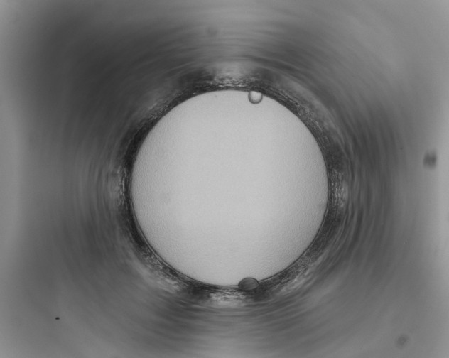 X0000097650603200803211857