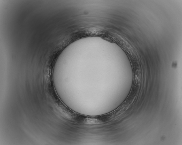 X0000097650605200803211857