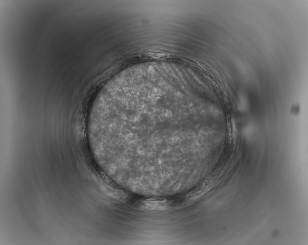 X0000097650606200803211857