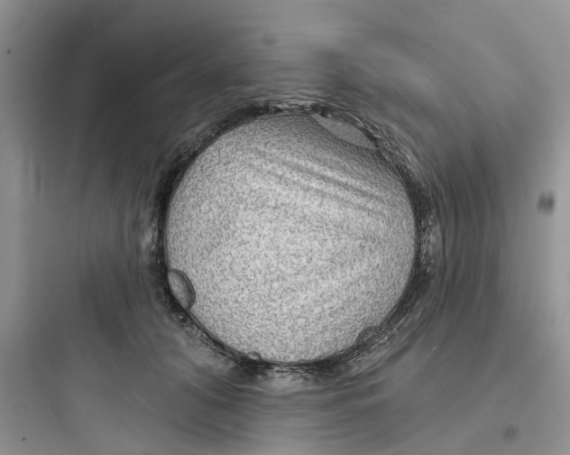 X0000097650608200803211857