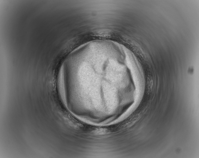 X0000097650609200803211857