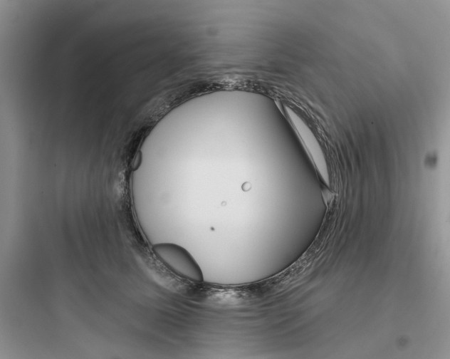 X0000097650611200803211857