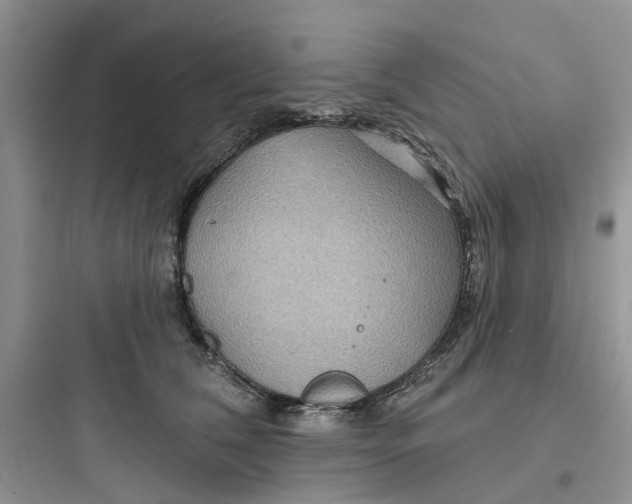 X0000097650612200803211857