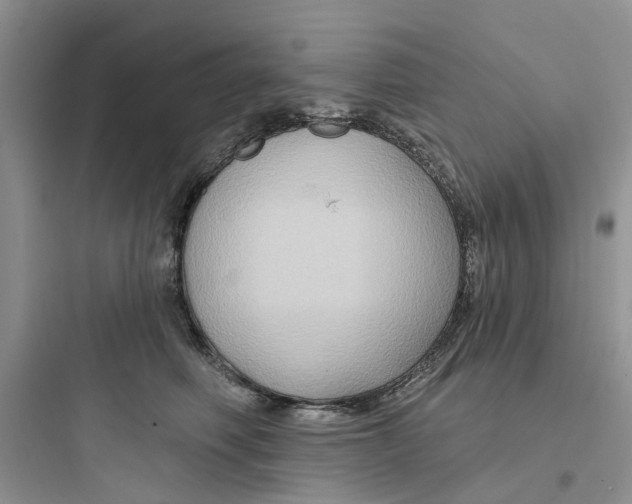 X0000097650614200803211857