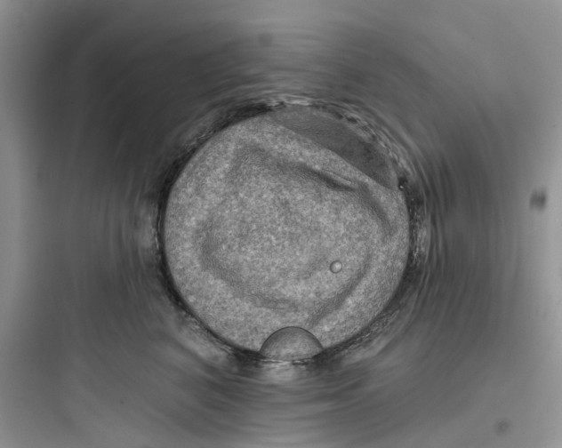 X0000097650616200803211857