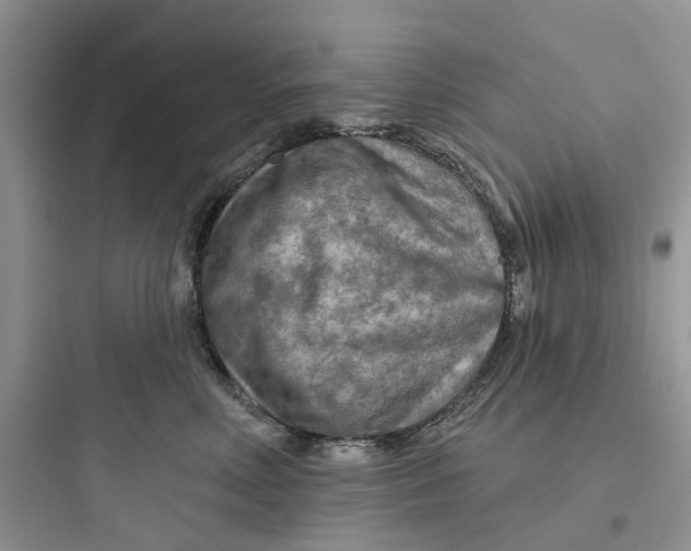 X0000097650618200803211857