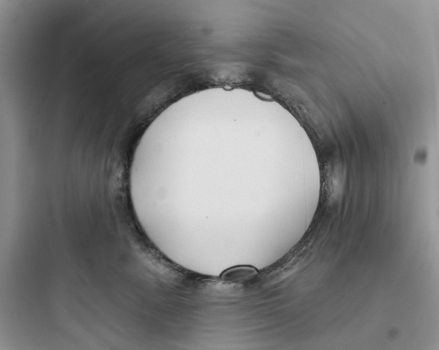 X0000097650619200803211857