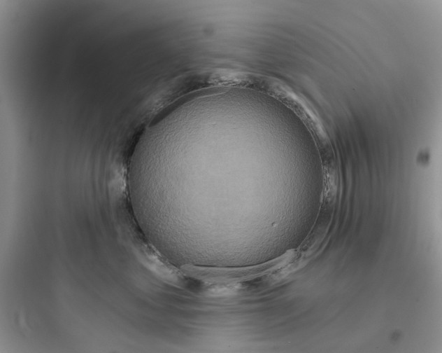 X0000097650621200803211857