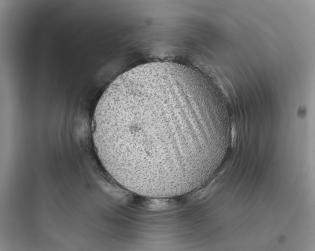 X0000097650623200803211857