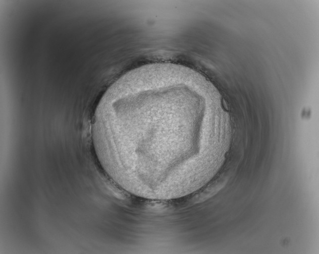 X0000097650624200803211857