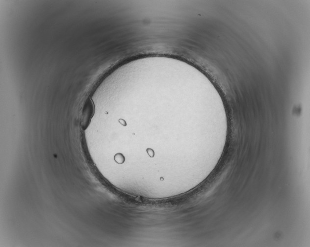 X0000097650625200803211856