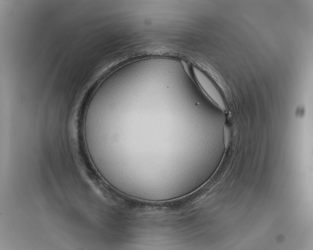 X0000097650626200803211856