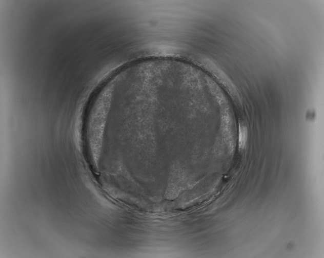 X0000097650627200803211856