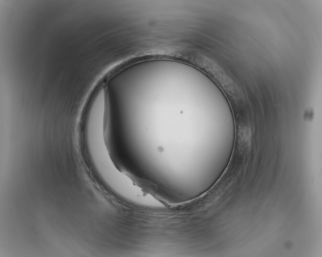 X0000097650628200803211856