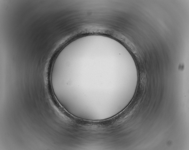 X0000097650629200803211856