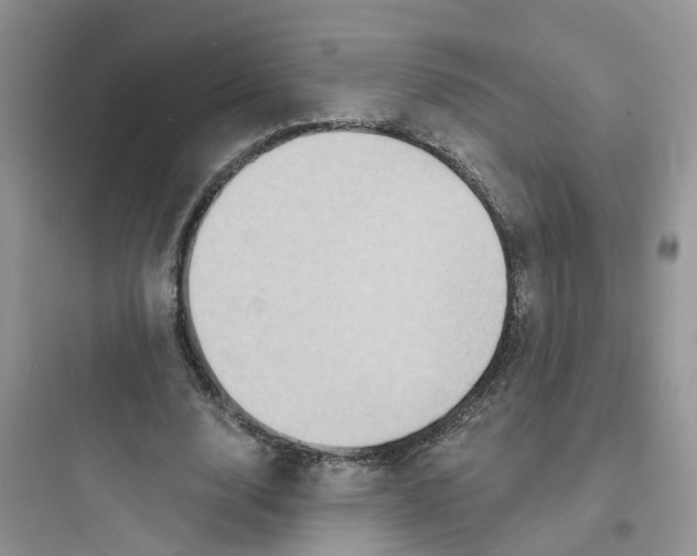 X0000097650632200803211856