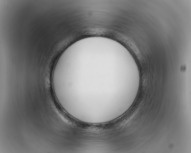 X0000097650633200803211856