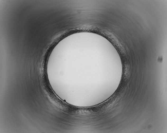 X0000097650636200803211856