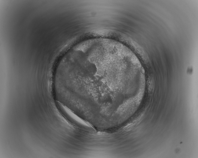 X0000097650637200803211856