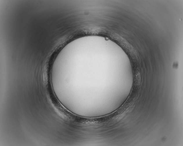 X0000097650638200803211856