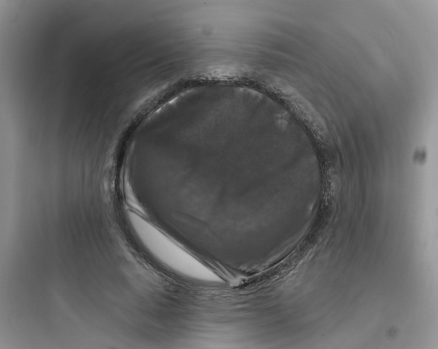 X0000097650640200803211856