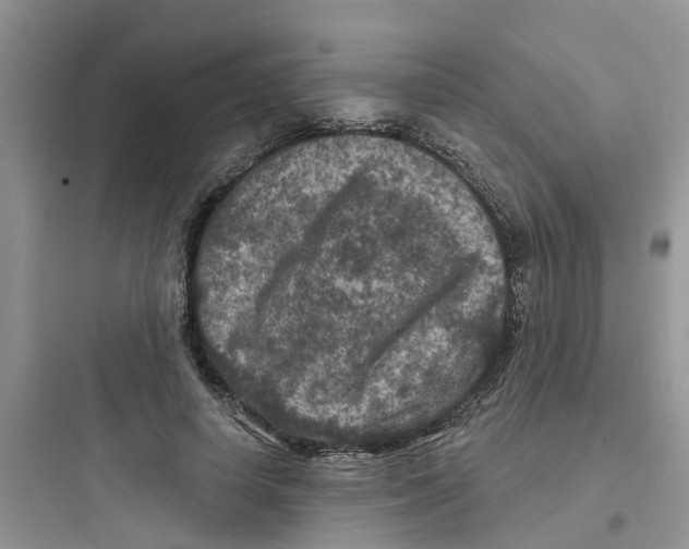 X0000097650642200803211856