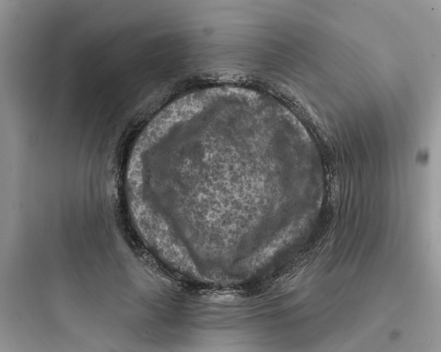 X0000097650643200803211857