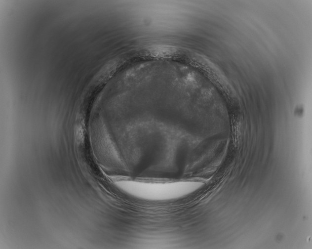 X0000097650644200803211857