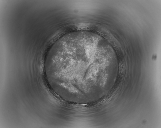 X0000097650648200803211857