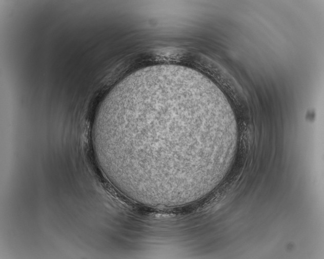 X0000097650649200803211857