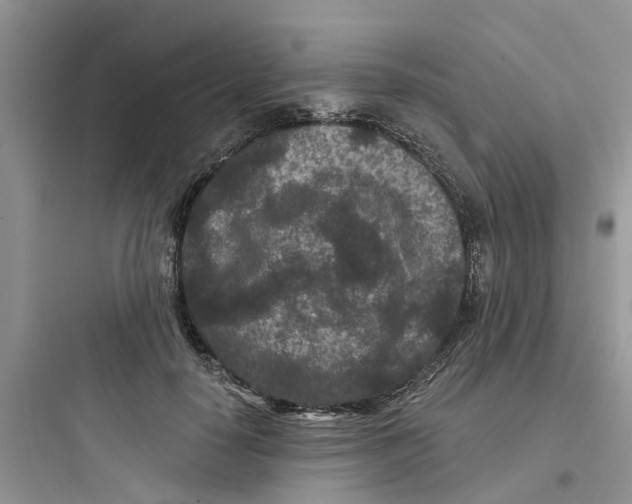 X0000097650650200803211857