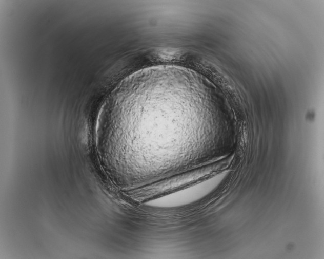 X0000097650651200803211857