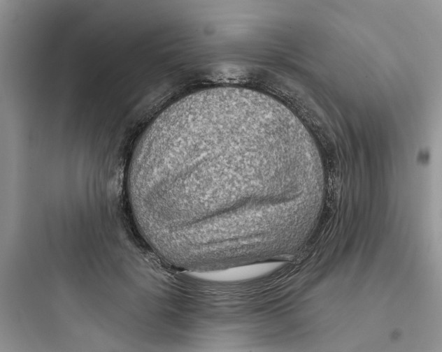 X0000097650652200803211857