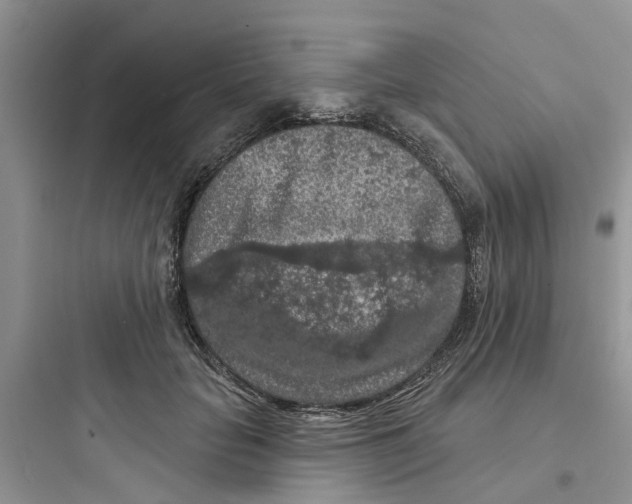 X0000097650653200803211857