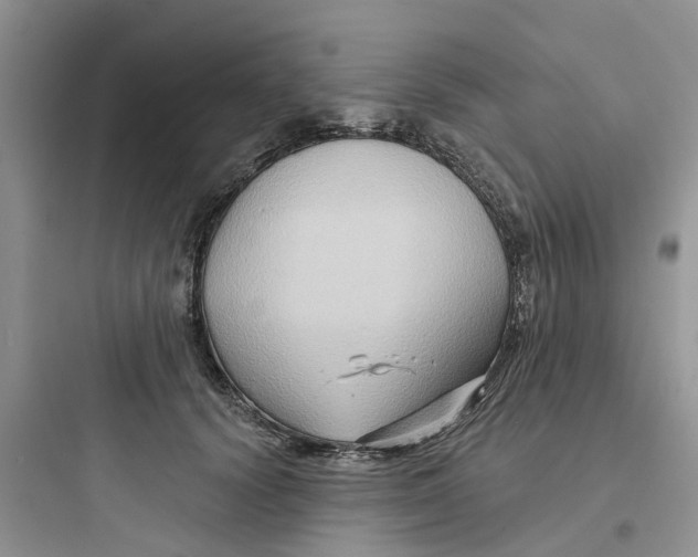 X0000097650656200803211857