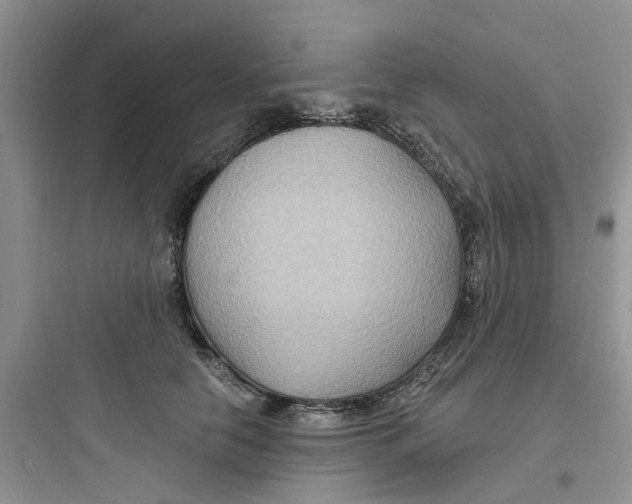 X0000097650658200803211857