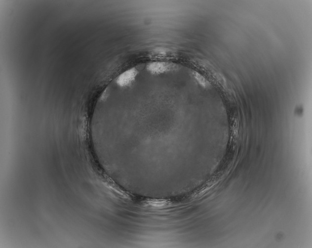 X0000097650659200803211857