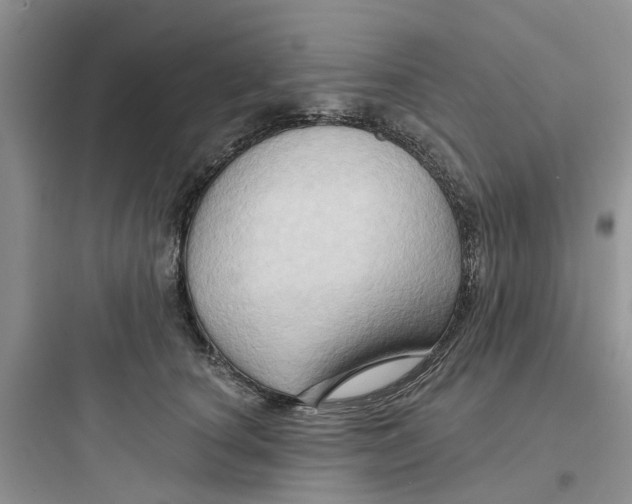 X0000097650660200803211857