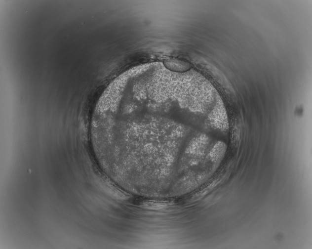 X0000097650661200803211857