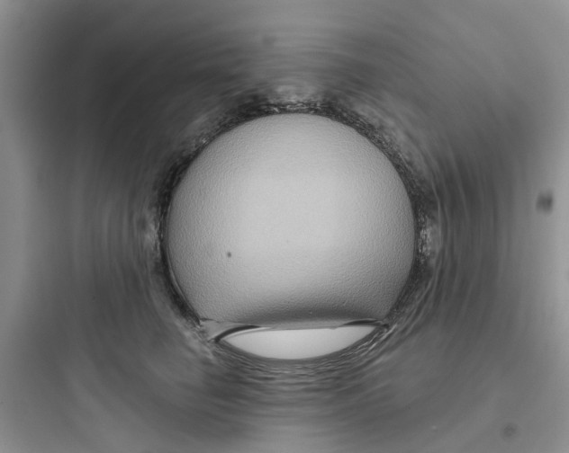 X0000097650662200803211857