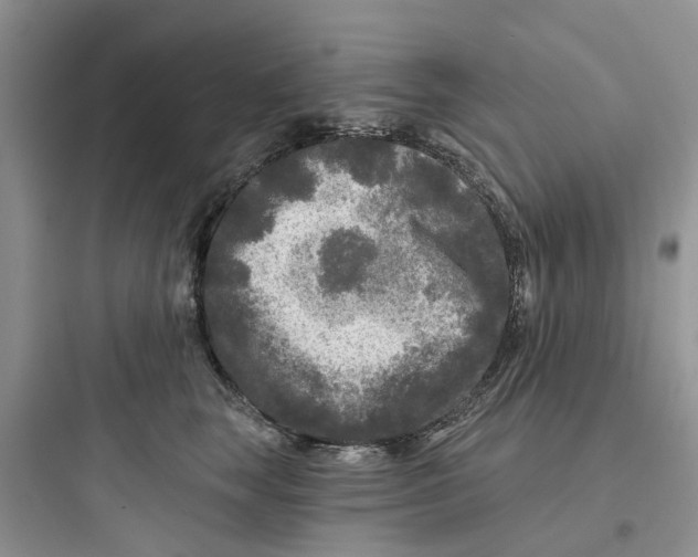 X0000097650663200803211857