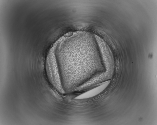 X0000097650664200803211857