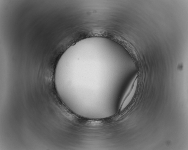 X0000097650665200803211857