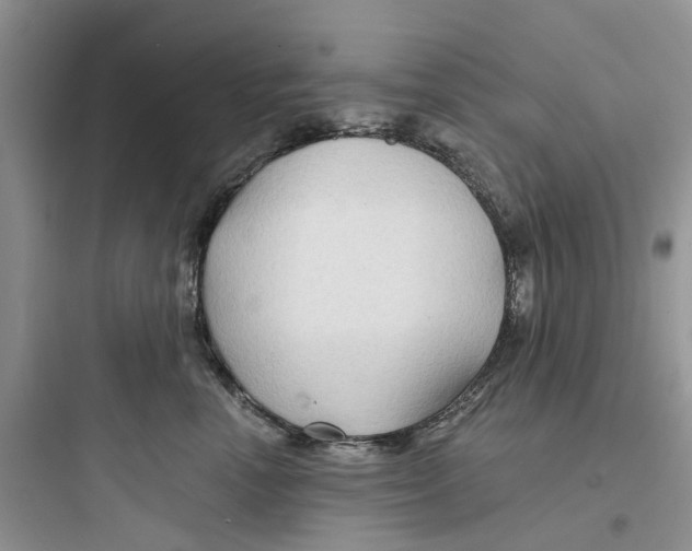 X0000097650666200803211857