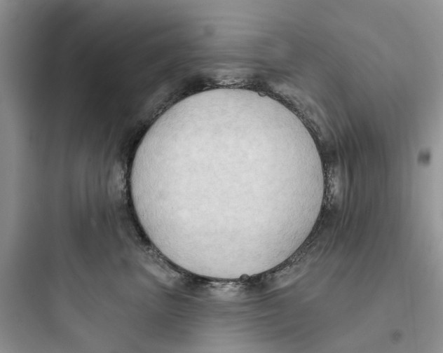 X0000097650667200803211857