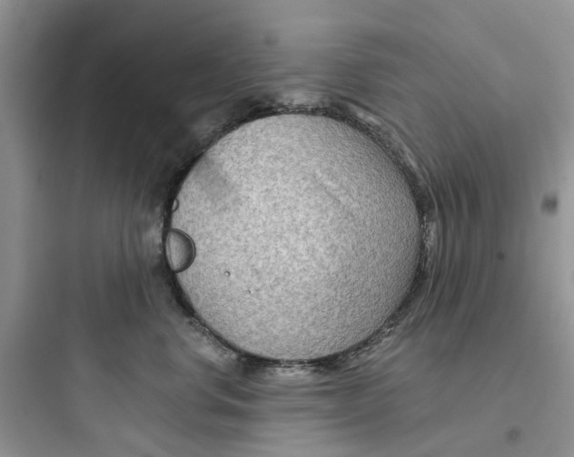 X0000097650668200803211857