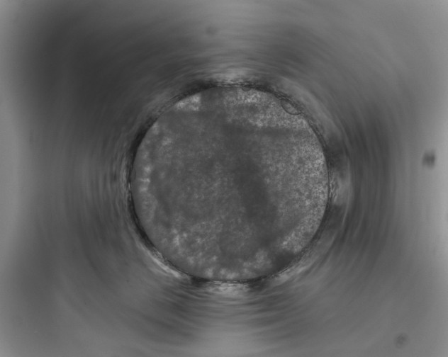 X0000097650670200803211857