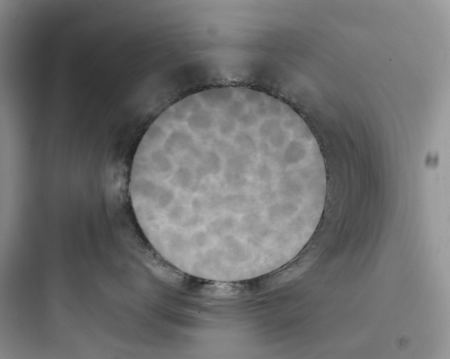 X0000097650672200803211857