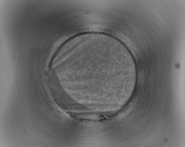 X0000097650673200803211856