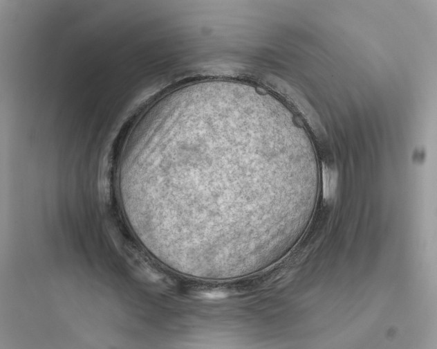 X0000097650675200803211856